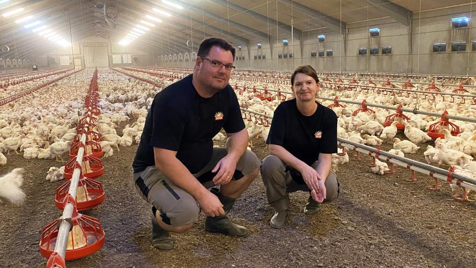 Kylling med hjertet begynder hos vores producenter