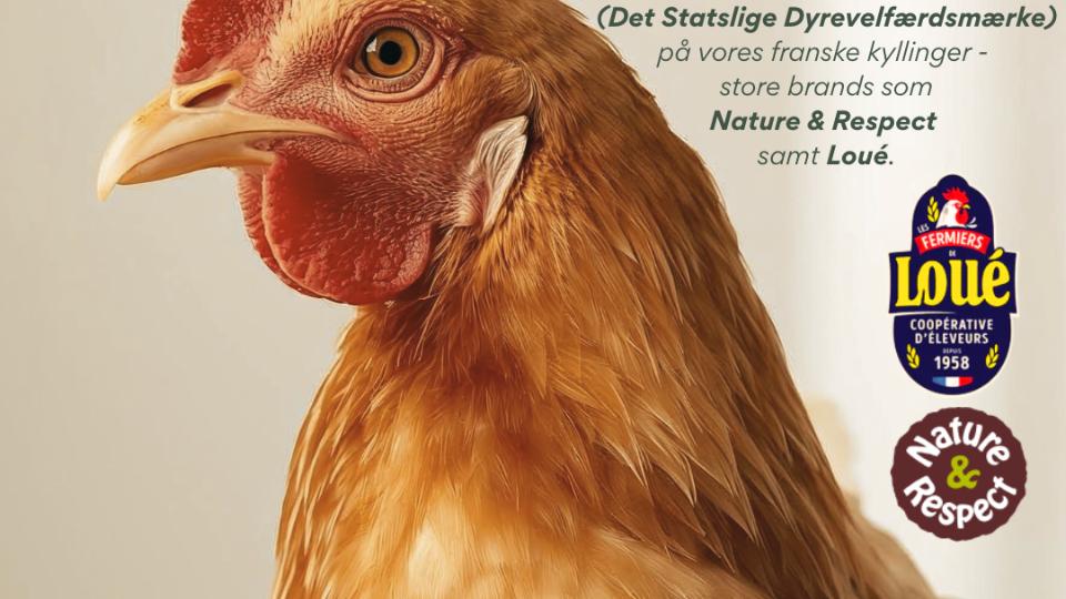 Oplev 3-hjertet velfærds kylling fra Natur & Respekt