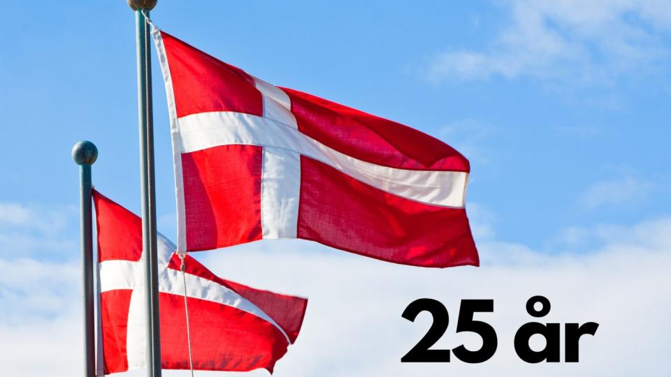 Magnihill fejrer 25-års jubilæum i Danmark 🇩🇰