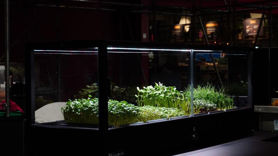 Upgrowth Solutions bringer produktionen helt ind i køkkenet