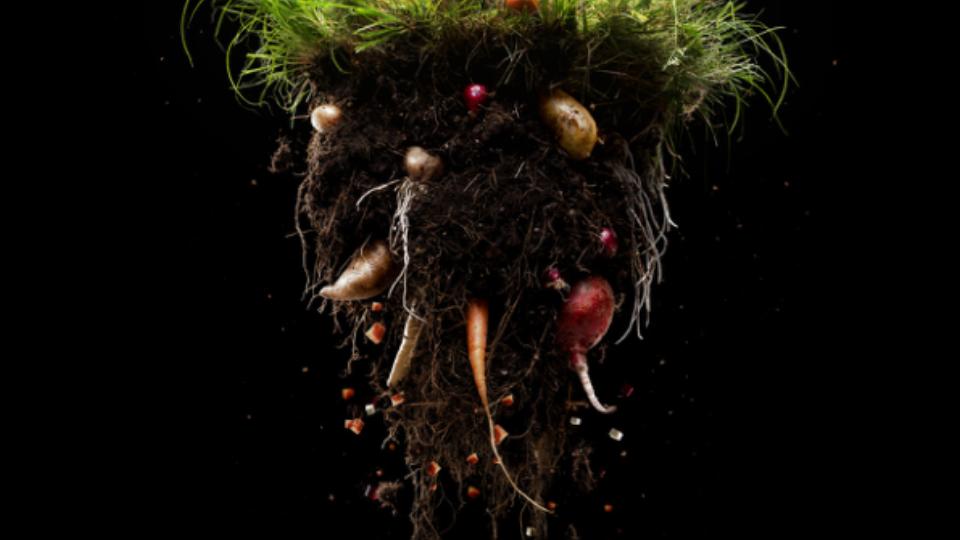 Roots, smag på et smartere sortiment