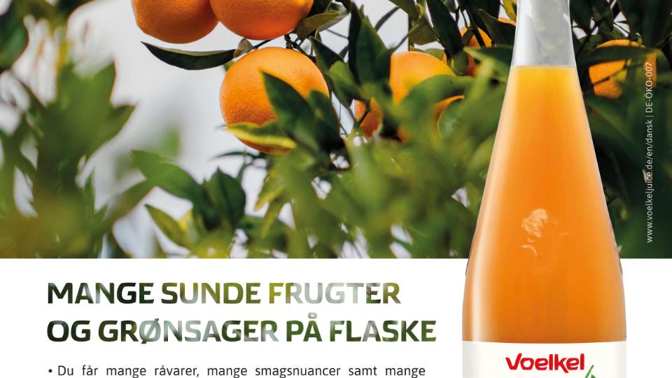 Mange sunde frugter og grønsager på flaske